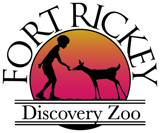company image